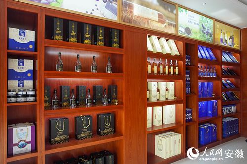 新征程江淮行｜安徽懷寧 勾勒“莓”好藍圖，科技助力鄉村振興